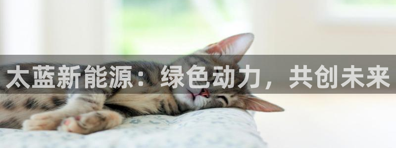 众腾娱乐文化怎么样:太蓝新能源:绿色动力,共创未来