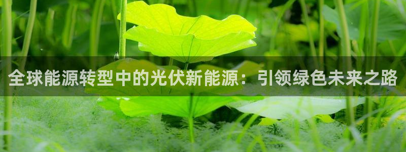 众腾娱乐扣款是正规的吗:全球能源转型中的光伏新能源:引领绿色