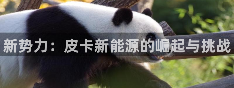 众腾娱乐