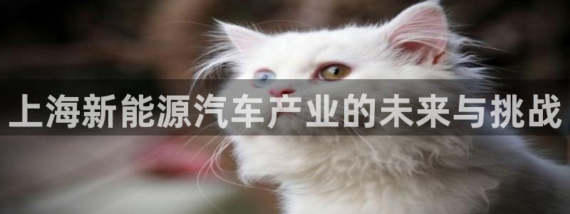 众腾娱乐