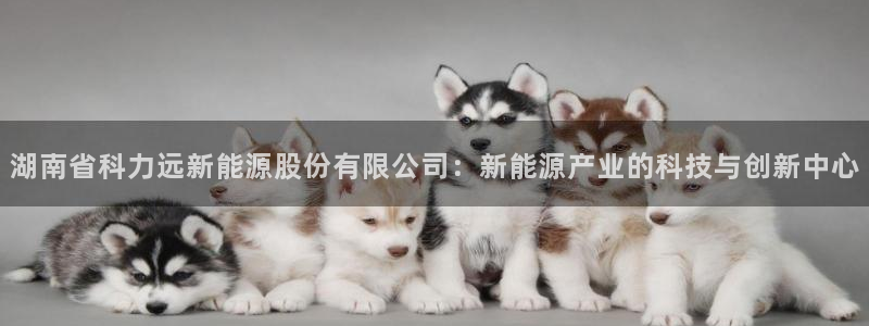 众腾娱乐文化怎么样：湖南省科力远新能源股