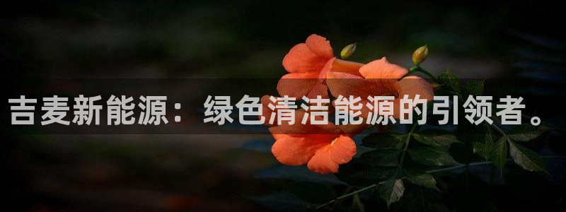 众腾娱乐总代理