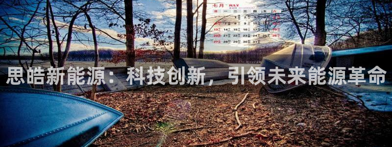 众腾娱乐开户:思皓新能源:科技创新,引领未来能源革命