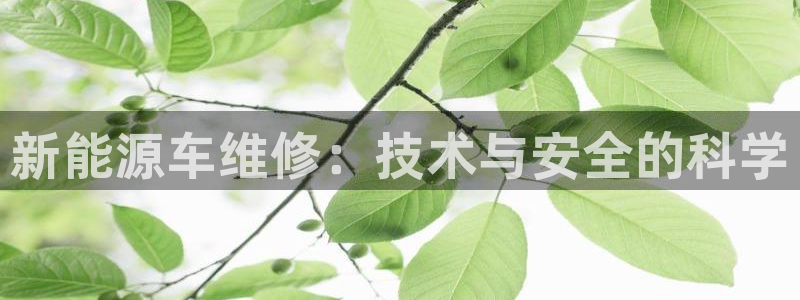 众腾娱乐文化怎么样