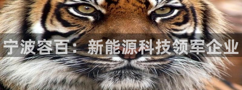 众腾娱乐梦幻演艺店
