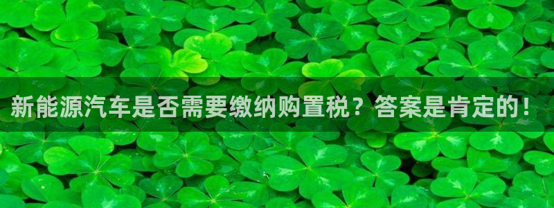 楚雄众腾娱乐在哪里：新能源汽车是否需要缴