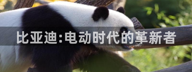 彝族自治州众腾娱乐：比亚迪:电动时代的革