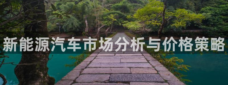 众腾娱乐蚀 7O935：新能源汽车市场分