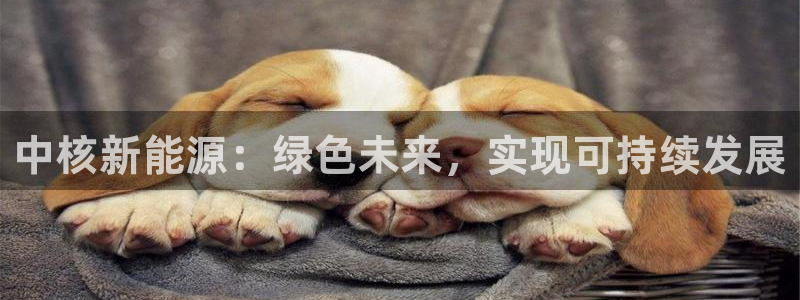 腾众娱乐是什么:中核新能源:绿色未来,实现可持续发展