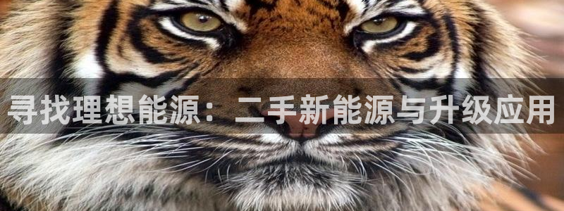 众腾娱乐梦幻演艺店:寻找理想能源:二手新能源与升级应用