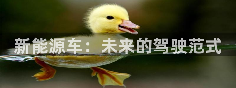 众腾娱乐平台下载