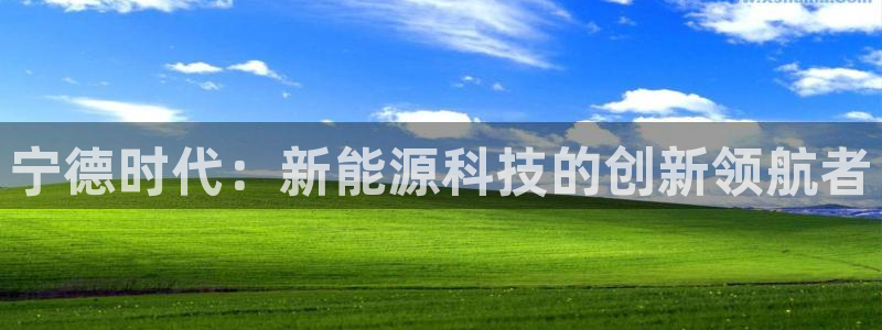 腾耀娱乐众推55312:宁德时代:新能源科技的创新领航者