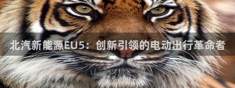 腾耀3娱乐众推8 28：北汽新能源EU5