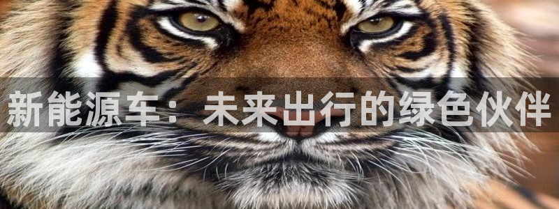 众腾娱乐客服：新能源车：未来出行的绿色伙