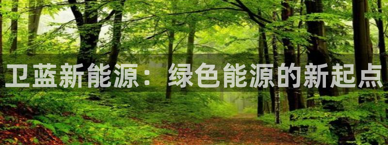 众腾娱乐平台群7O777:卫蓝新能源:绿色能源的新起点