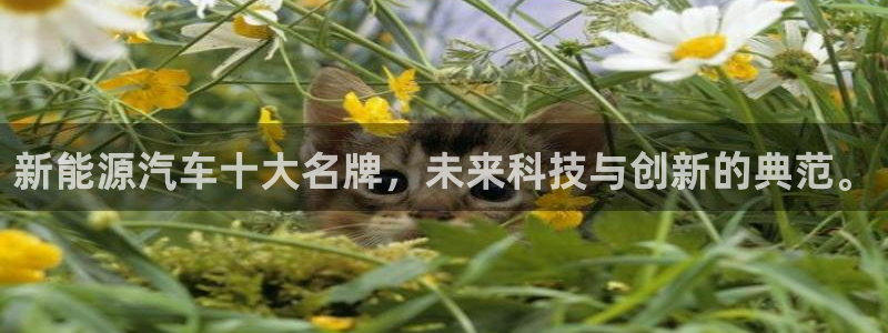腾耀娱乐众推46996:新能源汽车十大名牌,未来科技与创新的