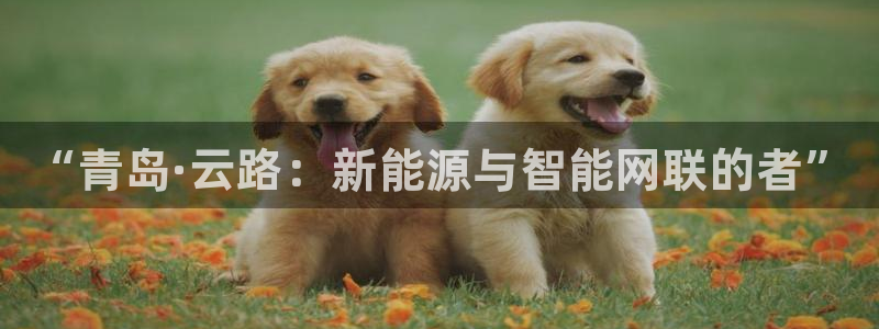 楚雄众腾娱乐在哪里