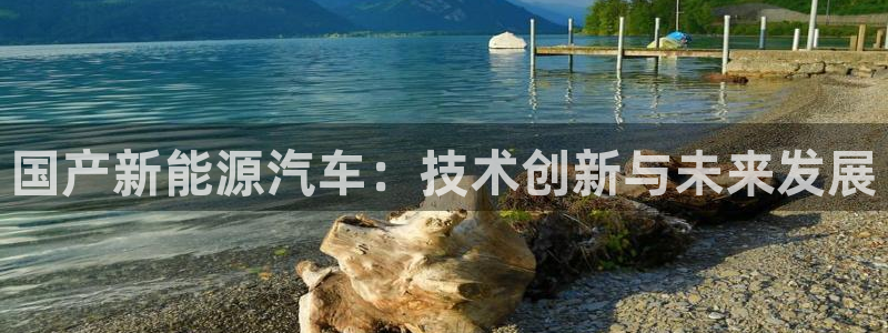 众腾娱乐app:国产新能源汽车:技术创新与未来发展