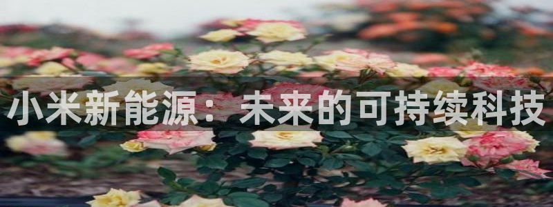 众腾娱乐开户:小米新能源:未来的可持续科技