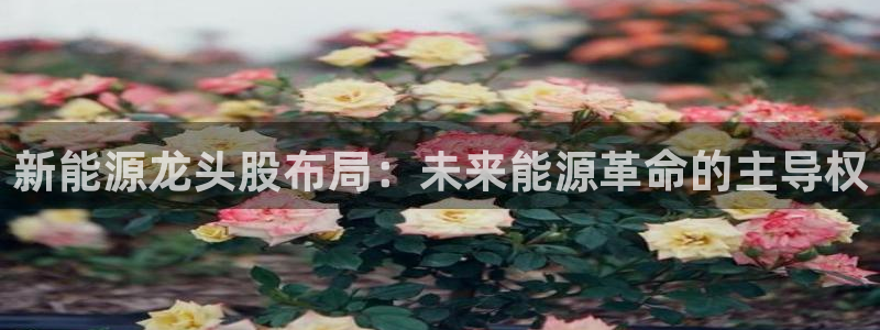 众腾娱乐平台官网入口：新能源龙头股布局：