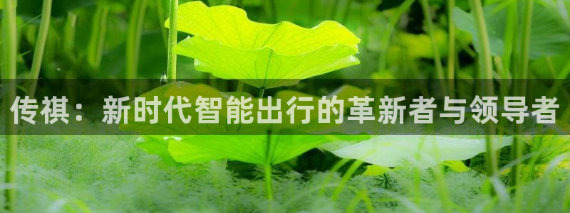 众腾娱乐邵阳:传祺:新时代智能出行的革新者与领导者