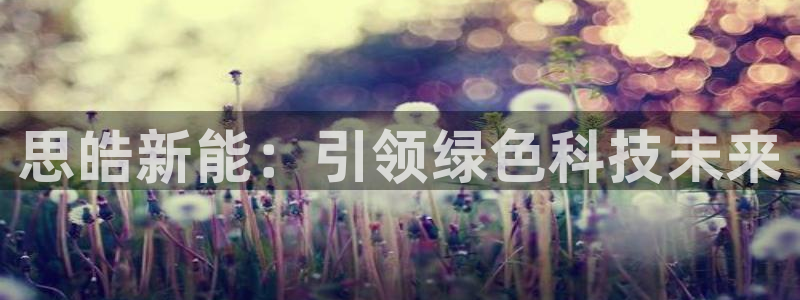 腾耀3娱乐众123:思皓新能:引领绿色科技未来