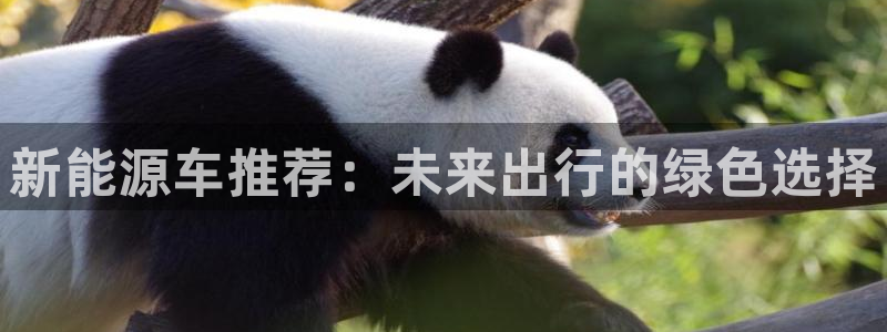 腾众娱乐:新能源车推荐:未来出行的绿色选择