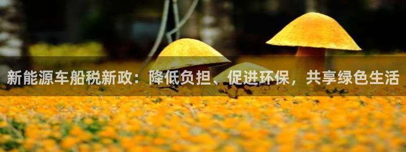 众腾娱乐毕 7O935