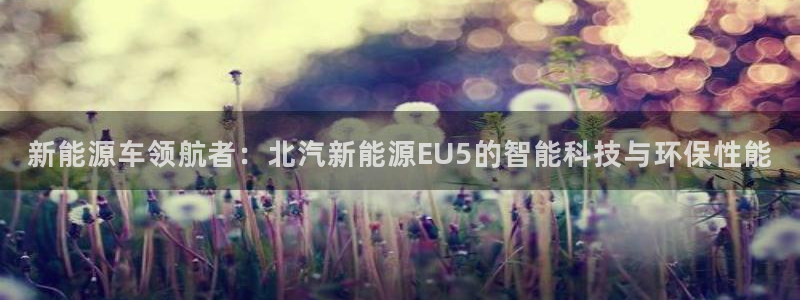 楚雄众腾娱乐在哪里:新能源车领航者:北汽新能源EU5的智能科