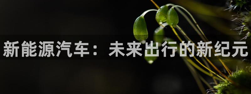 彝族自治州众腾娱乐:新能源汽车:未来出行的新纪元