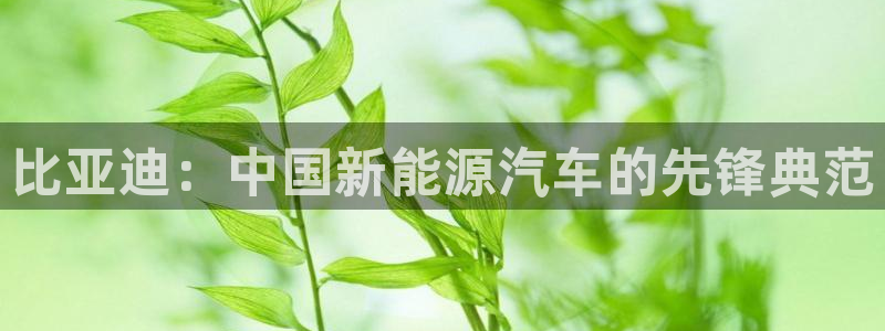 包头众腾娱乐密室逃脱:比亚迪:中国新能源汽车的先锋典范