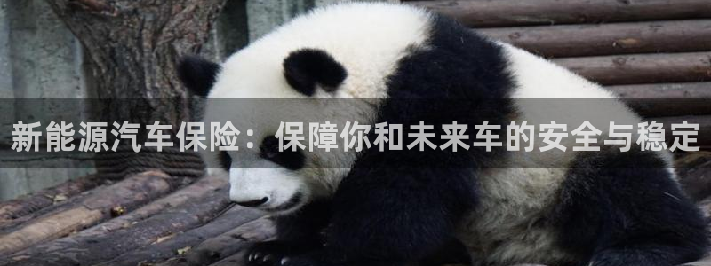 众腾娱乐蚀 7O935:新能源汽车保险:保障你和未来车的安全
