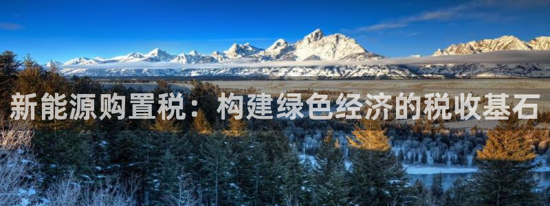 腾耀娱乐众推46996:新能源购置税:构建绿色经济的税收基石