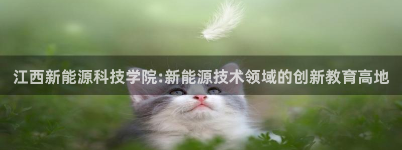 众腾娱乐:江西新能源科技学院:新能源技术领域的创新教育高地