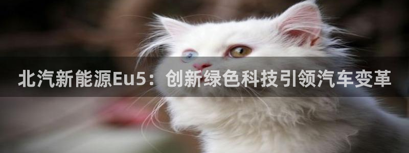 腾耀娱乐众320059:北汽新能源Eu5:创新绿色科技引领汽