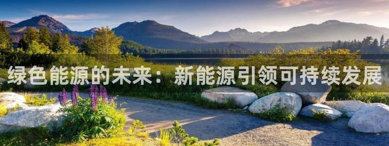 众腾娱乐平台下载:绿色能源的未来:新能源引领可持续发展