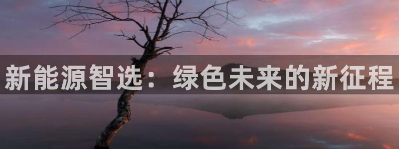 众腾娱乐扣款是正规的吗:新能源智选:绿色未来的新征程