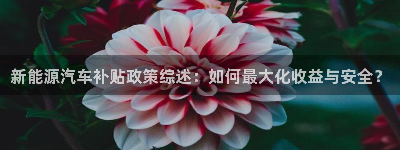 众腾娱乐注册:新能源汽车补贴政策综述:如何最大化收益与安全?