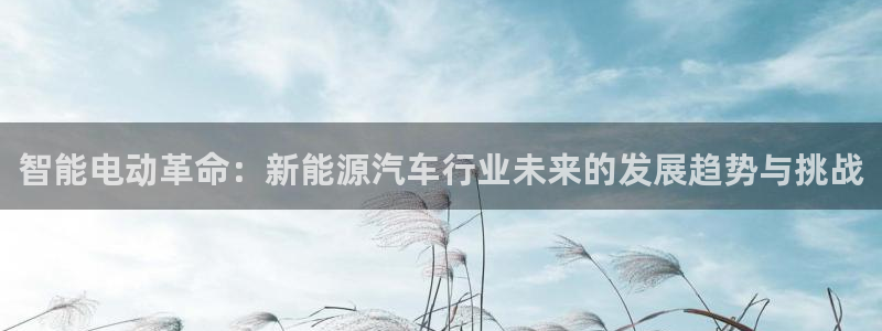 众腾娱乐注册:智能电动革命:新能源汽车行业未来的发展趋势与挑