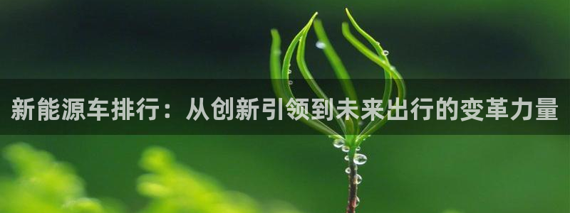 众东腾娱乐客服:新能源车排行:从创新引领到未来出行的变革力量