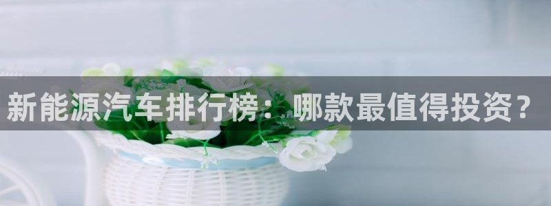 众腾娱乐平台群7O777:新能源汽车排行榜:哪款最值得投资?