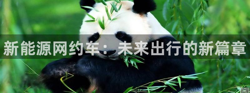 内蒙古众腾娱乐文化法人:新能源网约车:未来出行的新篇章