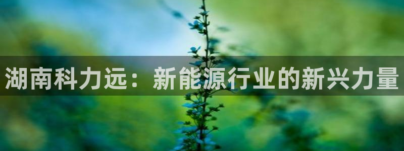 包头众腾娱乐密室逃脱:湖南科力远:新能源行业的新兴力量