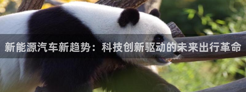 众腾娱乐平台群7O777:新能源汽车新趋势:科技创新驱动的未
