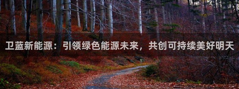 众腾娱乐总代理:卫蓝新能源:引领绿色能源未来,共创可持续美好
