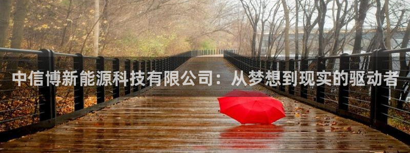 众腾娱乐平台官网入口:中信博新能源科技有限公司:从梦想到现实
