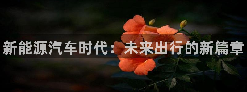 众腾娱乐总代理:新能源汽车时代:未来出行的新篇章