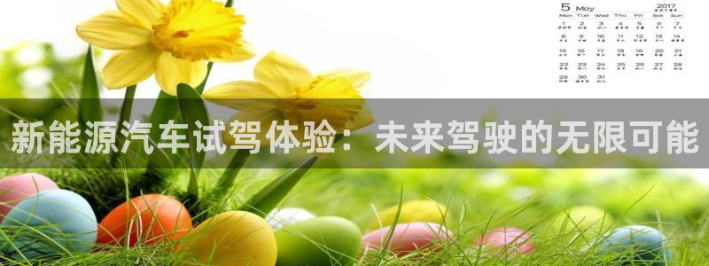 腾众娱乐是个啥:新能源汽车试驾体验:未来驾驶的无限可能