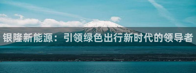 腾众娱乐是什么:银隆新能源:引领绿色出行新时代的领导者