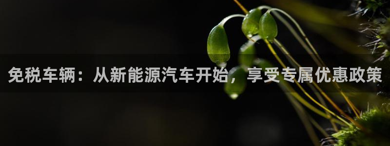 腾耀3娱乐众123:免税车辆:从新能源汽车开始,享受专属优惠